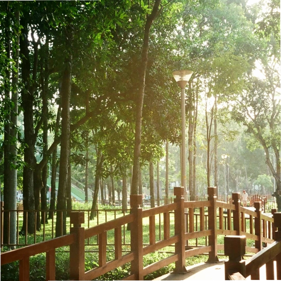 Người dân tập thể dục và đi dạo trong Công viên Gia Định