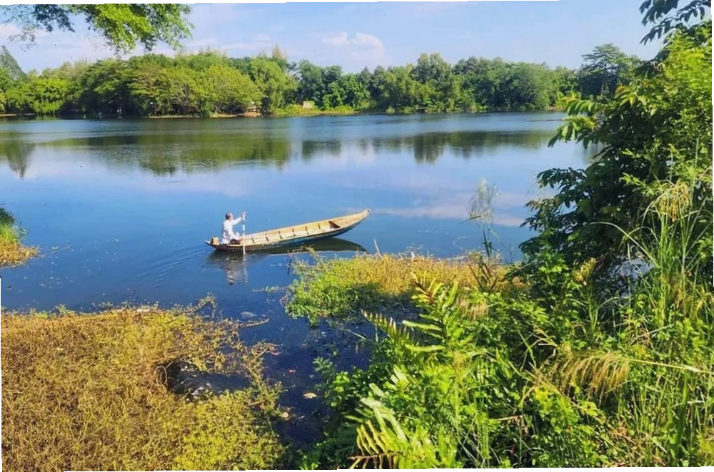 Người dân tham quan và dạo bộ tại Công viên Văn hóa An Hòa