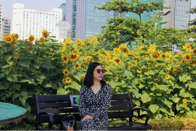 Người dân vui chơi và chụp ảnh tại vườn hoa hướng dương
