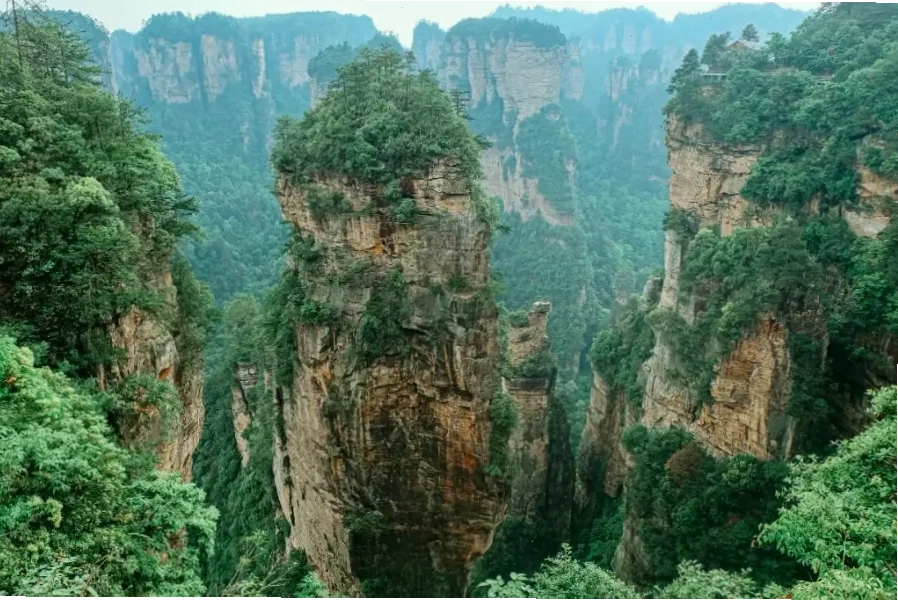 Nguồn cảm hứng cho dãy núi Hallelujah trong bộ phim Avatar