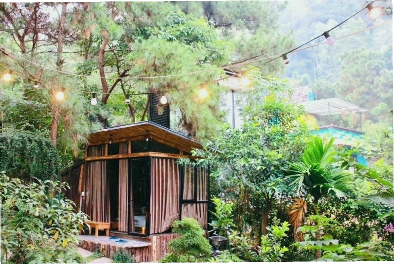 Nhà cây sim tại The Moonlight Villa Sóc Sơn, lựa chọn cho các cặp đôi
