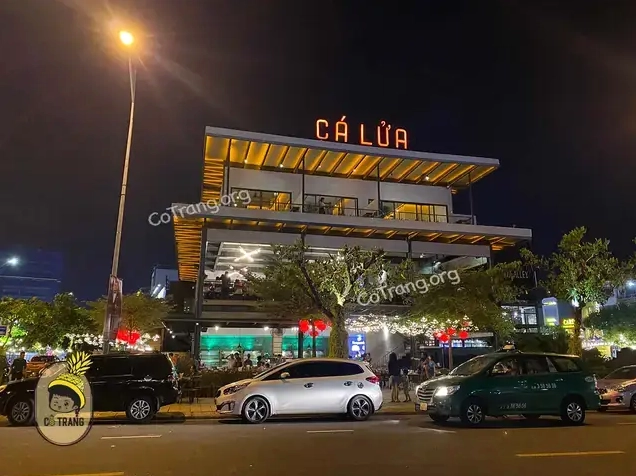 Nhà hàng Cá Lửa Đà Nẵng: Điểm hẹn hải sản tươi ngon và trải nghiệm ẩm thực đẳng cấp