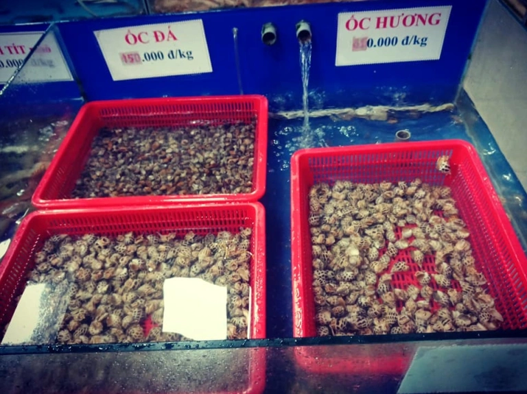 Nhà hàng Phước Thái Đà Nẵng: Điểm đến hải sản tươi ngon không thể bỏ lỡ