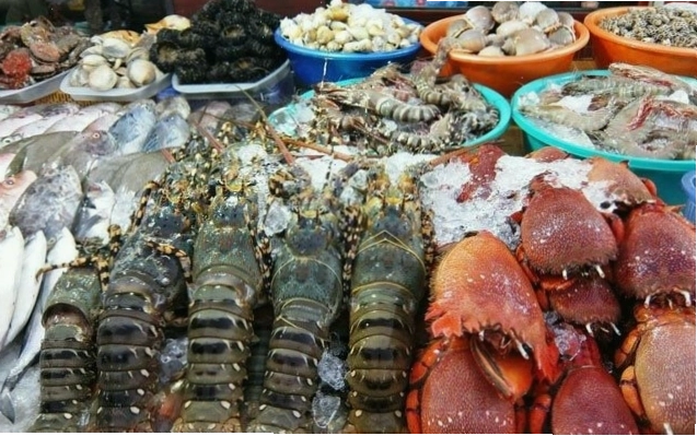Nhà hàng Việt Nam Hạ Long với hải sản tươi ngon