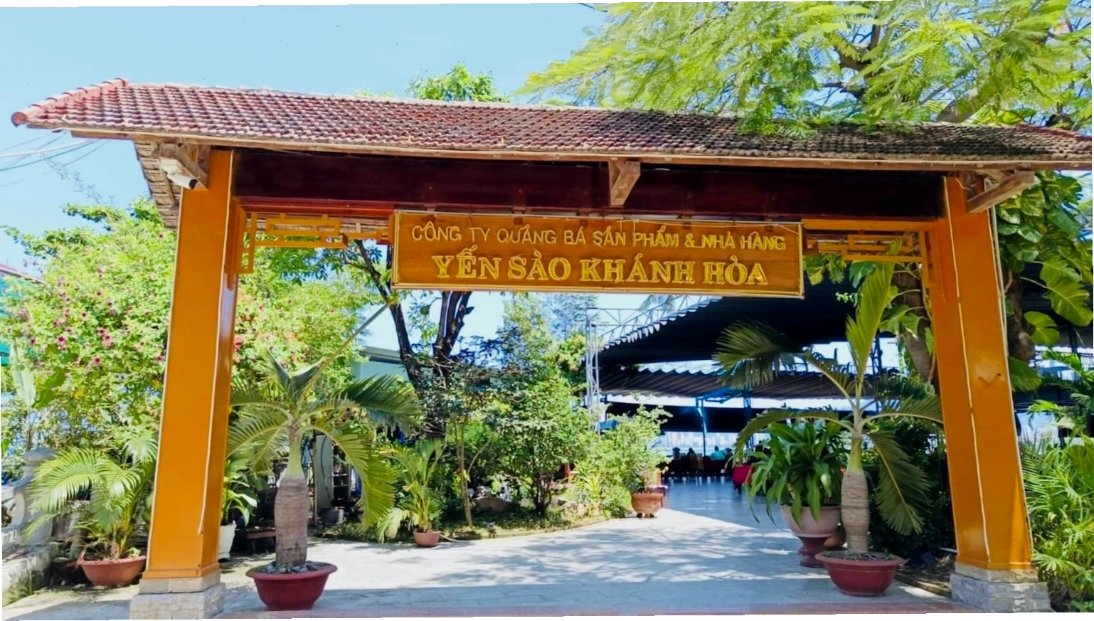 Nhà hàng Yến Sào Nha Trang cung cấp các món ăn bổ dưỡng