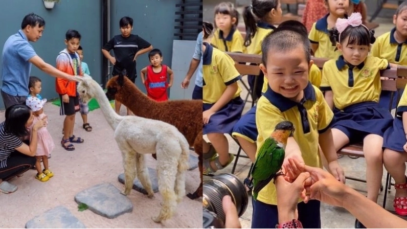 Nhiều giống chó khác nhau tại Pet Coffee Garden