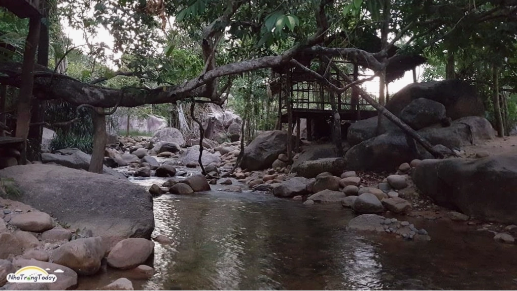 Những cành cây buông mình xuống dòng Suối Lách