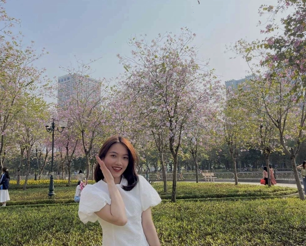 Những đóa hoa ban nở rộ trong khuôn viên công viên Cầu Giấy.