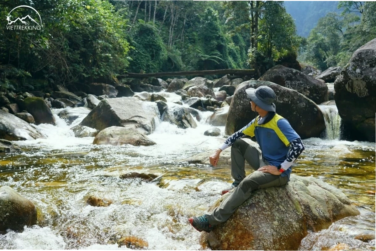 Những dòng suối trong rừng rậm hoang sơ