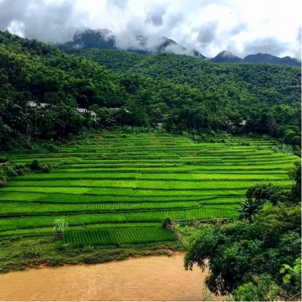 Những khối đá ong đặc trưng tại Bãi Đông