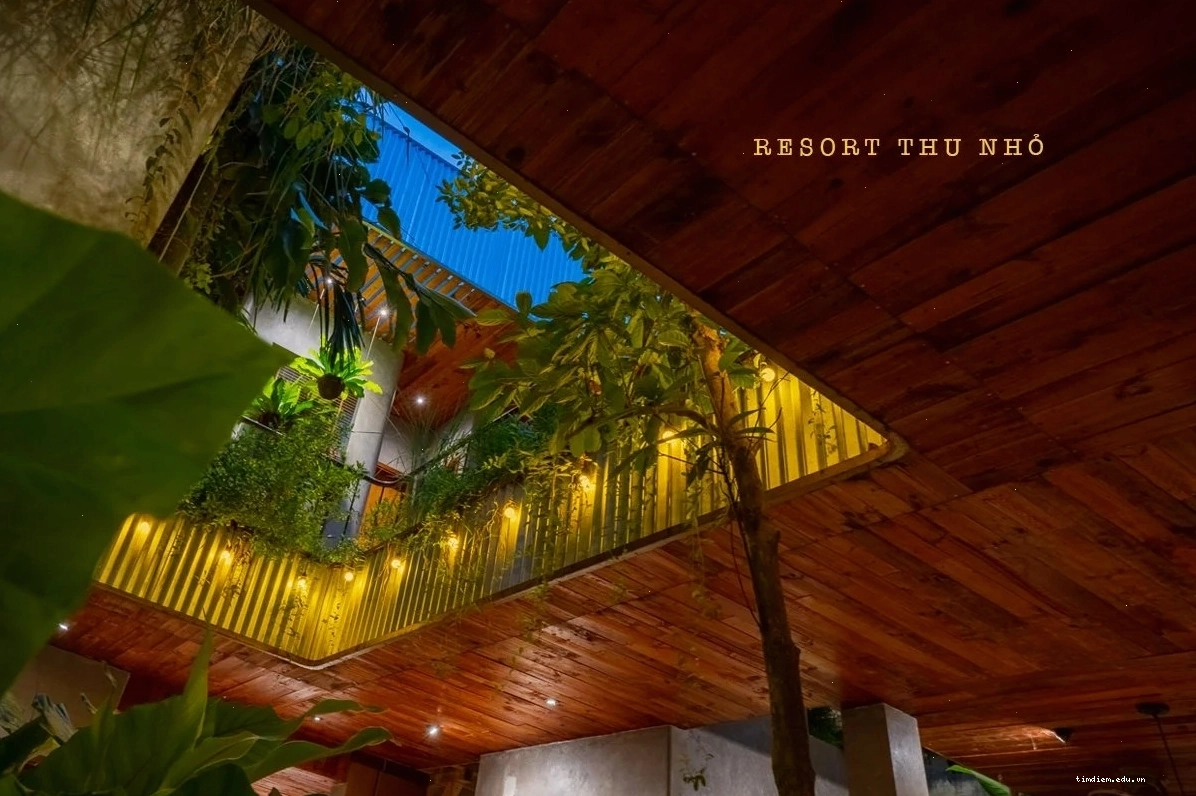 Nội thất ấm cúng tại 5 homestay Vũng Tàu