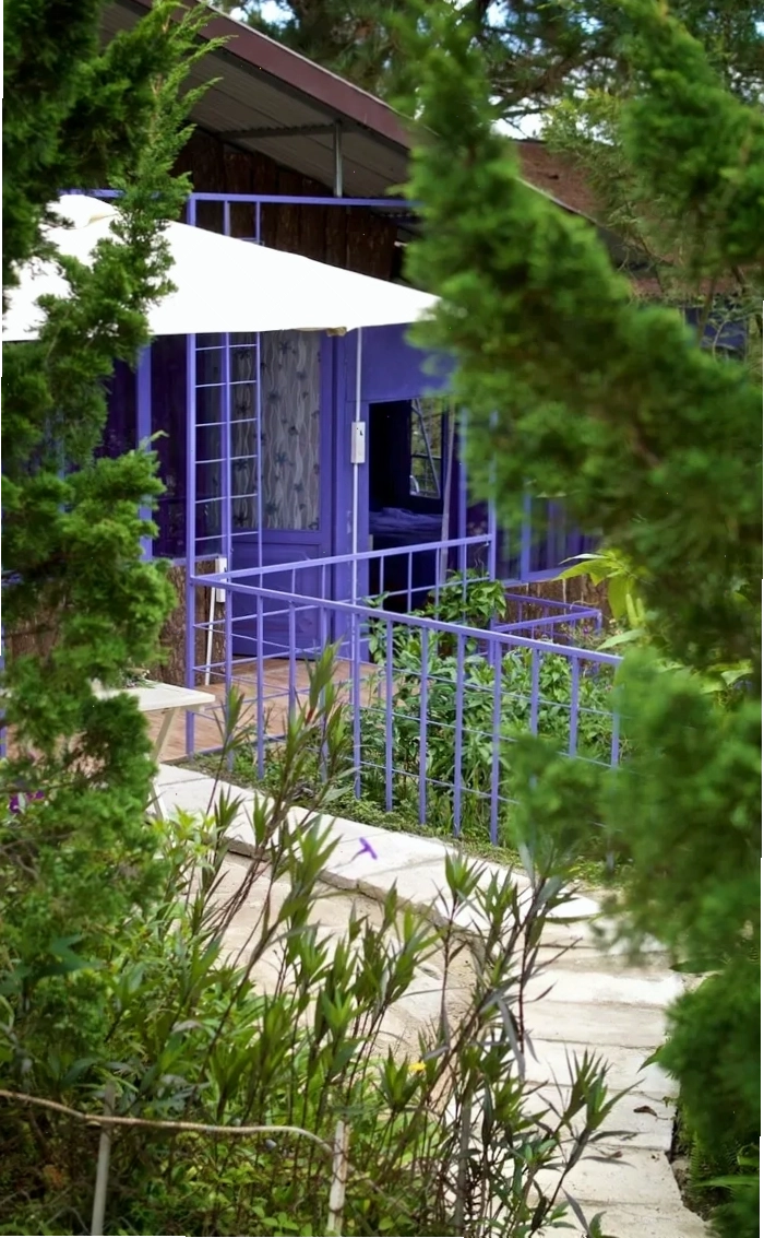 Nội thất phòng nghỉ tại Pine Hill homestay Đà Lạt
