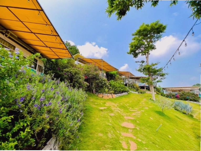 Nội thất xe buýt được trang trí màu pastel cổ điển, tạo không gian ấm cúng
