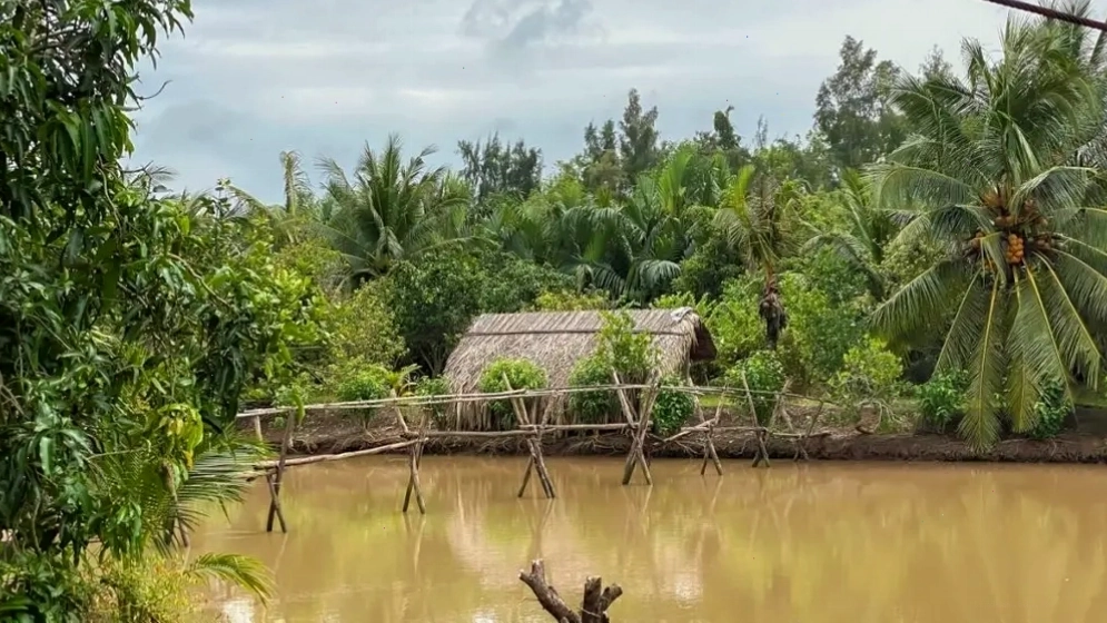 Nông trại du lịch Sân Chim Vàm Hồ Bến Tre