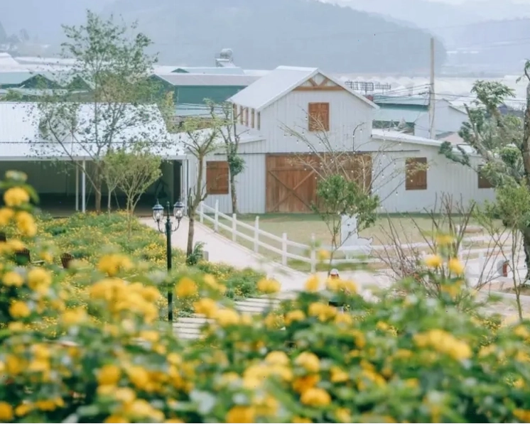 Nông trại Puppy Farm Đà Lạt vui nhộn