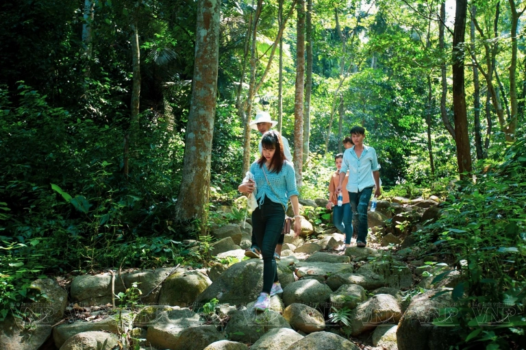 Núi Chứa Chan Đồng Nai: Khám phá "Nóc nhà" hùng vĩ và điểm đến tâm linh hấp dẫn
