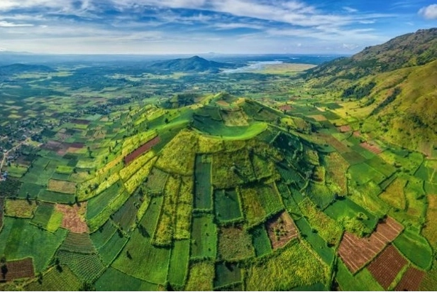 Núi lửa Chư Đăng Ya mùa hoa dã quỳ rực rỡ