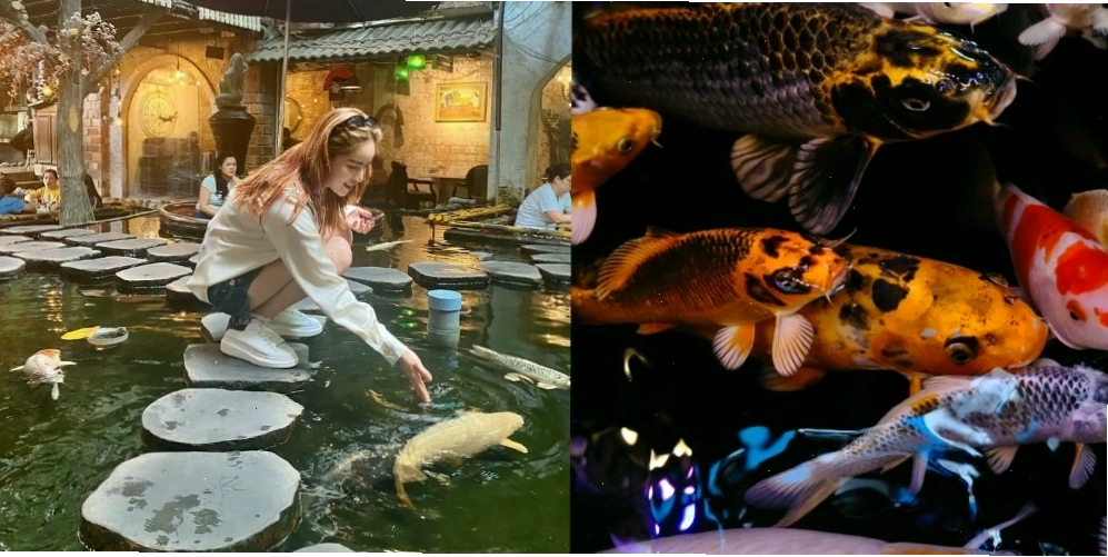 Oasis Cafe nổi bật với hồ cá Koi lớn, mang lại không gian thư giãn độc đáo