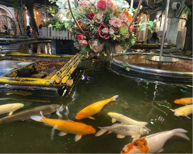 Oasis Cafe - Ốc đảo xanh mát với hồ cá Koi