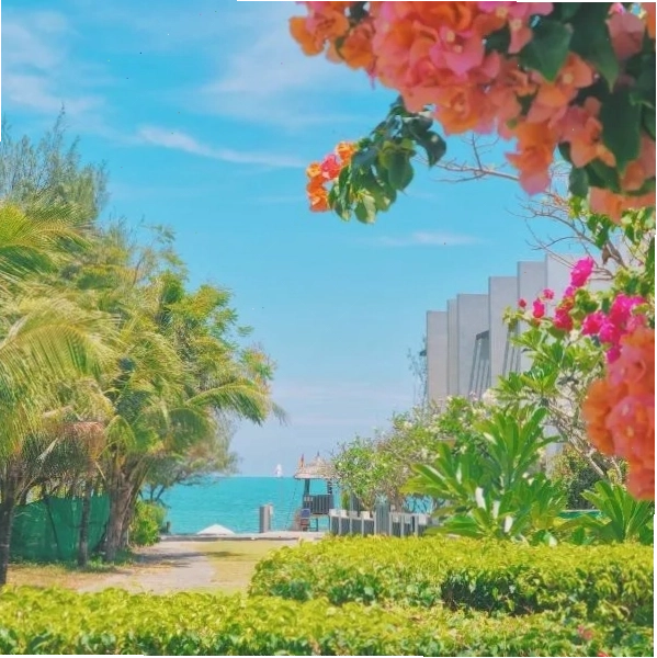 Oceanami Resort Sea View với tầm nhìn bao quát biển