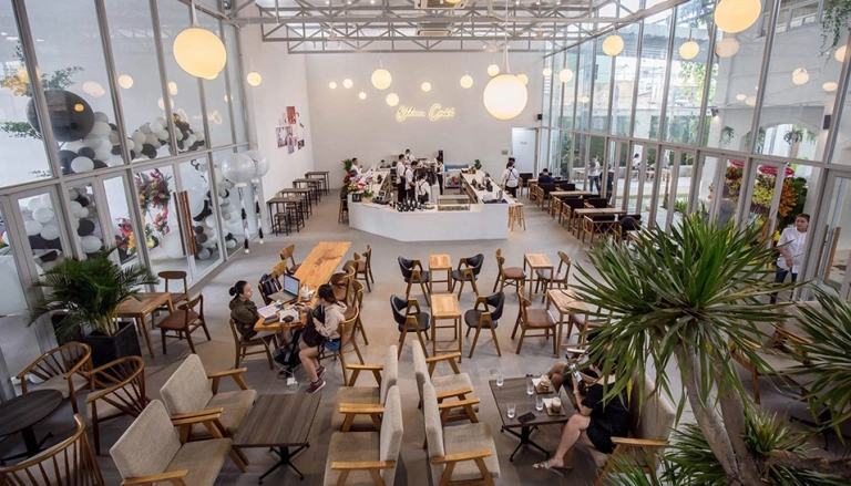 Ollin Cafe: Hành Trình Kiến Tạo Thương Hiệu Cà Phê Qua Cuộc Chiến Tâm Trí