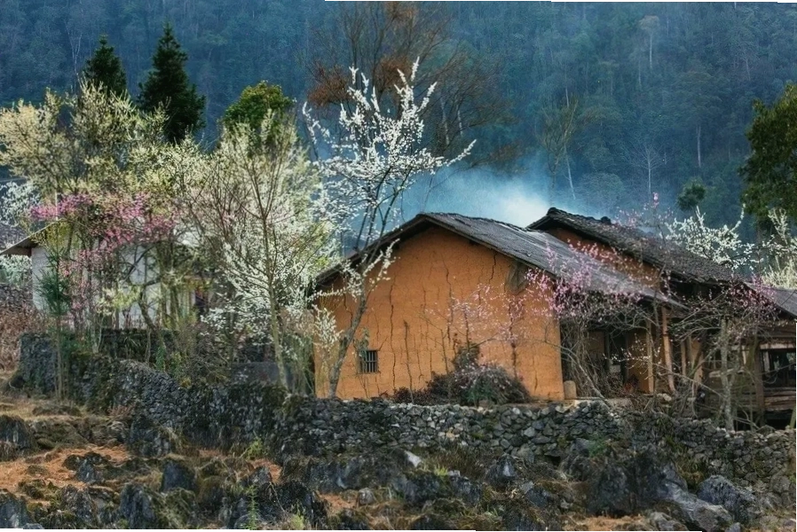 Phố Cáo, địa điểm du lịch Hà Giang lý tưởng để chiêm ngưỡng những mùa hoa Tây Bắc