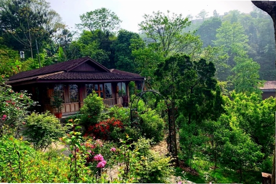 Phòng nghỉ ấm cúng tại Green House Homestay