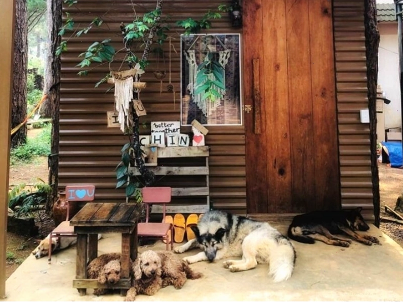 Phòng tiêu chuẩn tại Chino Homestay Măng Đen