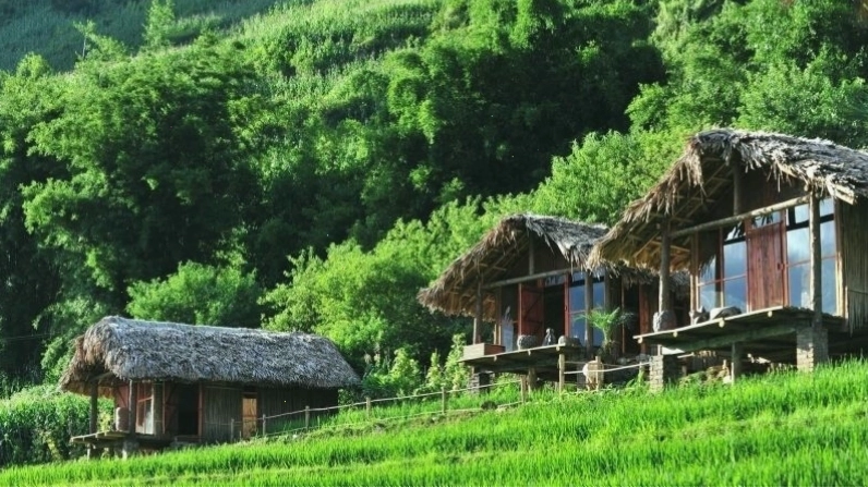 Phơri’s House Tả Van - homestay Sapa view đẹp