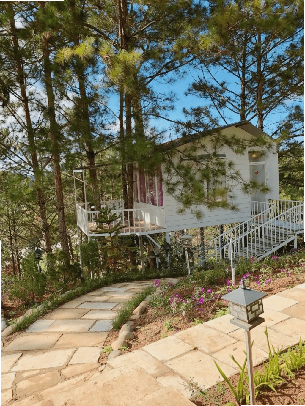 Pine Hill homestay Đà Lạt với kiến trúc gỗ sơn trắng và sắc tím lãng mạn
