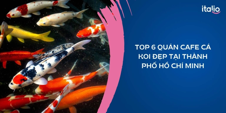 Quán Cà Phê Cá Koi Lê Trọng Tấn: Khám phá thủy cung giữa lòng Sài Gòn