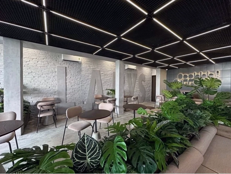 Quán cafe Gò Vấp yên tĩnh phù hợp để làm việc