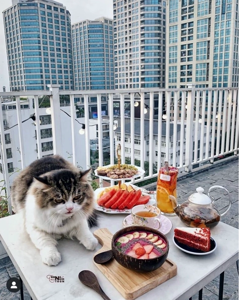 Quán cafe ngon Bến Bạch Đằng với không gian thư giãn