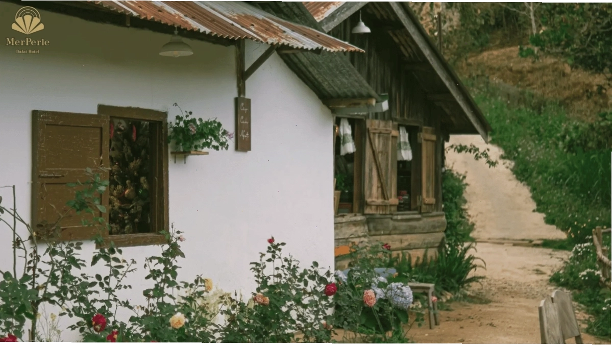 Quán Coffee Cây Cam Ngọt Đà Lạt với vẻ đẹp mộc mạc