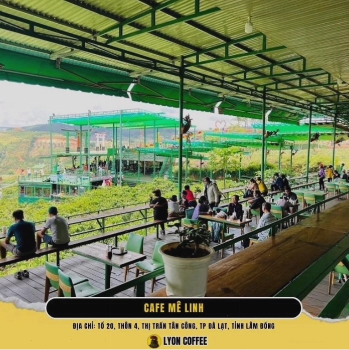 Quang cảnh nhìn từ Cafe Mê Linh Đà Lạt với rừng thông bạt ngàn