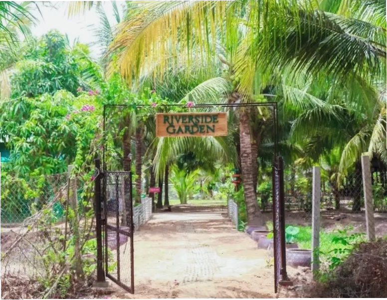 Riverside Garden Bến Tre với không gian xanh mát và yên tĩnh