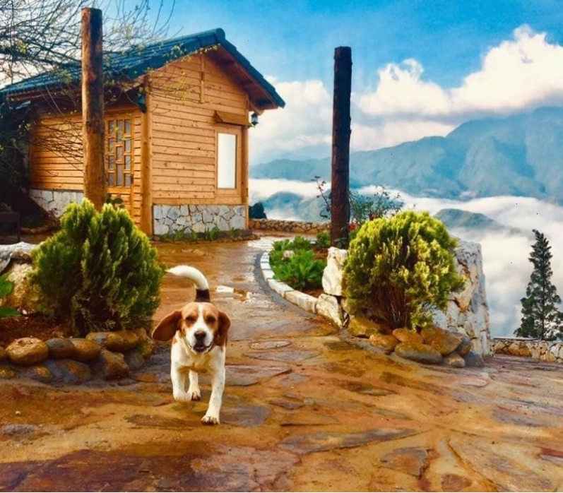 Rock Garden Sapa Homestay với kiến trúc mộc mạc giữa núi rừng