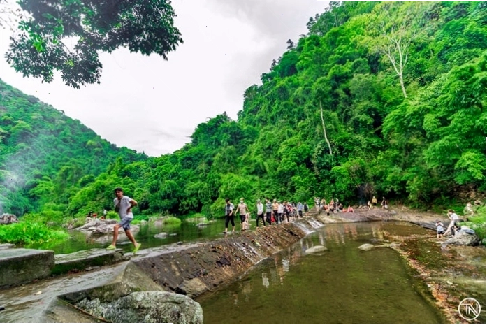Rừng nguyên sinh Khe Rỗ với hệ sinh thái đa dạng và cảnh quan hoang sơ