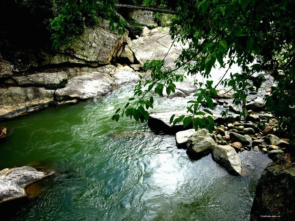 Ruộng bậc thang bên cạnh Suối Mường Hoa Sapa