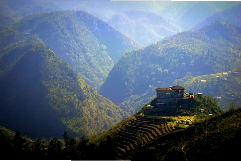 Ruộng bậc thang gần Bản Cát Cát