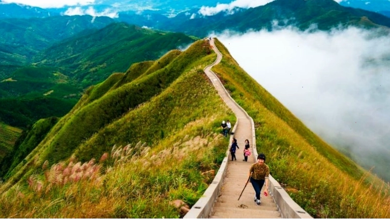 Ruộng bậc thang hùng vĩ tại Bình Liêu