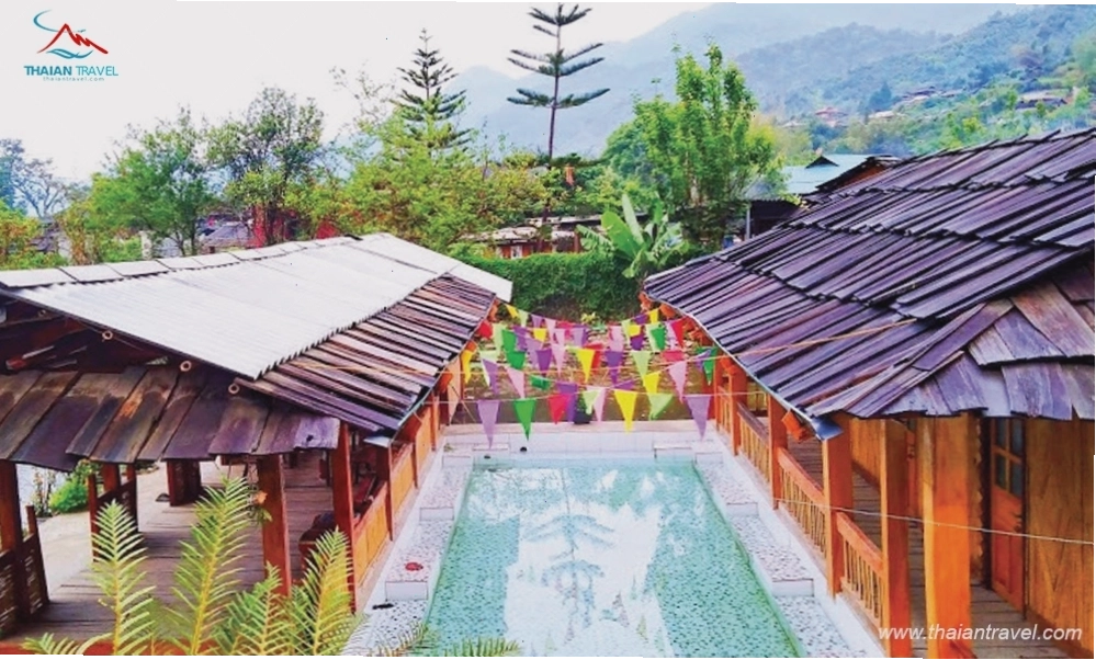 Ruộng bậc thang mùa lúa chín tại Ngọc Chiến