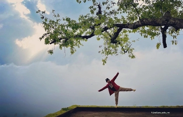 Ruộng bậc thang mùa lúa chín tại Y Tý
