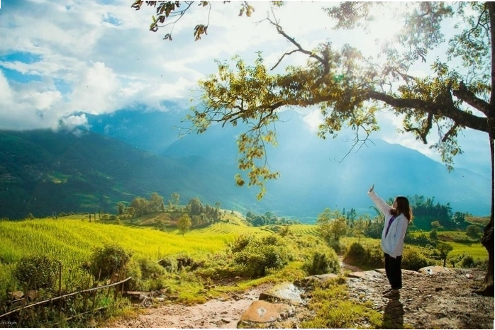 Ruộng bậc thang tại Công viên Choản Thèn Y Tý