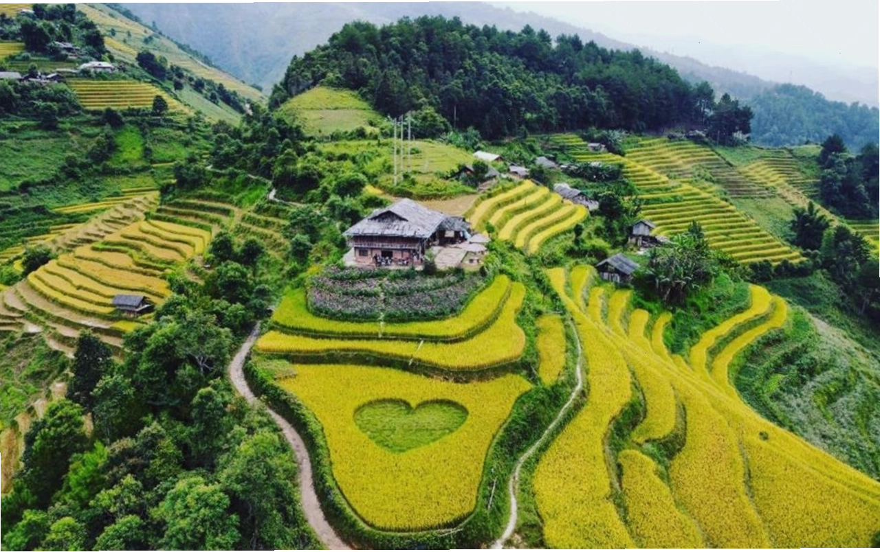 Ruộng bậc thang tại Mù Cang Chải với hình dáng độc đáo