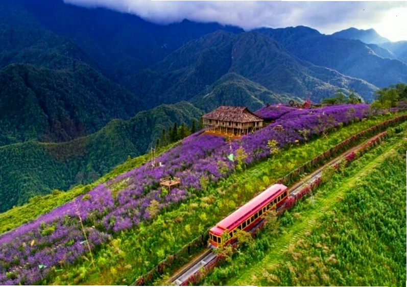 Ruộng bậc thang xanh mướt trải dài tại Thung lũng Mường Hoa, Sapa