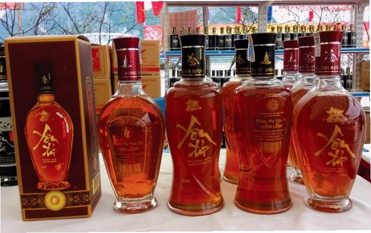 Rượu mơ Yên Tử - Đặc sản quà tặng
