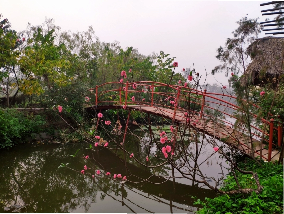 Sắc Xuân tại Công viên Thực vật cảnh Việt Nam