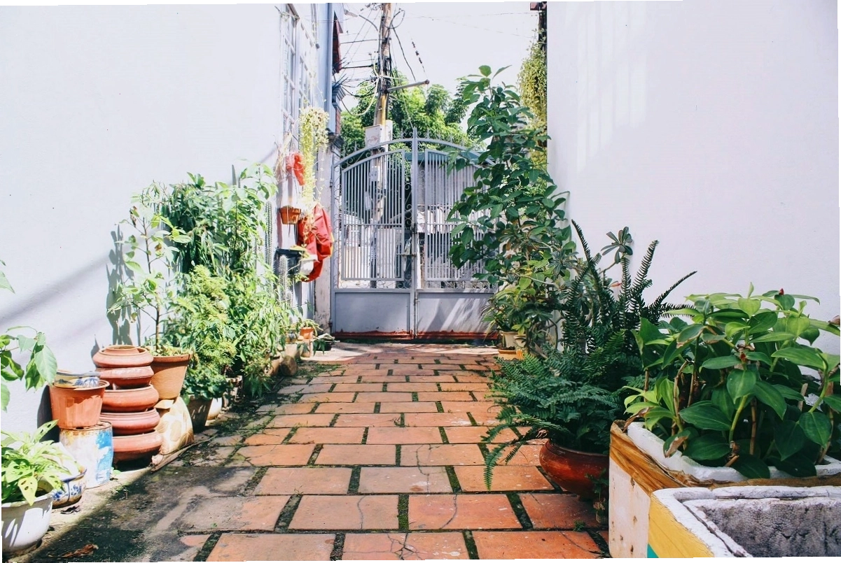 Sân vườn xanh mát lối vào An Yên Homestay Vũng Tàu