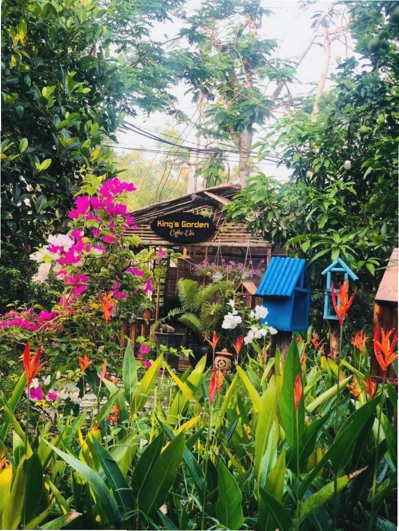 Sân vườn xanh mát với hồ cá Koi tại King’s Garden